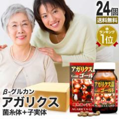 �A�K���N�X���S�[���h�� 300���~24�Z�b�g ��600�`720���� �������� ��z�� | �A�K���N�X �A�K���N�X�T�v�� �A�K���X�N �A�K���X�N�T�v