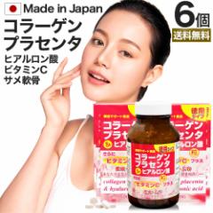 pR[QEvZ^qA_ 600~6Zbg 300`360  z | R[Q collagen ރR[Q 