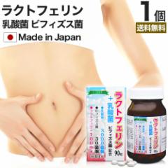 ���N�g�t�F�����{���_�� 90�� ��15�`30���� �������� ��z�� | ���N�g�t�F���� ���_�� ���_�ۃT�v�������g ���_�ۃT�v�� ���[�O���g �r�t