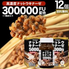 �i�b�g�E�L�i�[�[5000FU 120���~12�Z�b�g ��720���� �������� ��z�� | �i�b�g�E�L�i�[�[ �[�� �[���� �[���L�i�[�[ �ʔK �O�� �P���Z