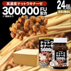 �i�b�g�E�L�i�[�[5000FU 120���~24�Z�b�g ��1440���� �������� ��z�� | �i�b�g�E�L�i�[�[ �[�� �[���� �[���L�i�[�[ �ʔK �O�� �P���Z