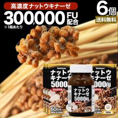 �i�b�g�E�L�i�[�[5000FU 120���~6�Z�b�g ��360���� �������� ��z�� | �i�b�g�E�L�i�[�[ �[�� �[���� �[���L�i�[�[ �ʔK �O�� �P���Z�`