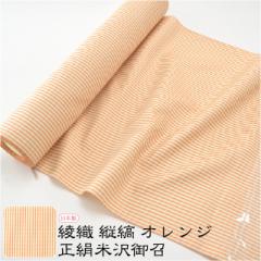 ���� �D�̒��� ���p �P�ߗp ���{�� ���� �đ�䏢 ���D �c�� �u�� ������ ������� ��l ���f�B�[�X ����10011648