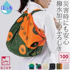 ���C�~ �唻 �ʔN�p ���{�� �ނ��� 100�A�N�A�h���b�v ���� ���T�C�N�� ���m�Ão�b�O �G�R�o�b�O �r��� ������� ��l ���� �j��1001546