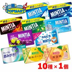 �A�T�q �~���e�B�A 10��ފe1�� �v10�Z�b�g ������� �������� �A�\�[�g