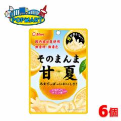 ライオン菓子 そのまんま甘夏 6個セット 送料無料 グミ