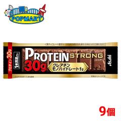 �A�T�q 1�{�����o�[ �v���e�C���X�g�����O�R�R�A 9�Z�b�g �v���e�C���o�[ ��������