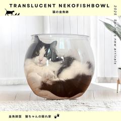 �y���[�J�[�����z�L�̋����� PET�f�ނ̃X�P���g���{�[�� �N�b�V�����t �˂� �L �L���b�g ���킢�� �C���e���A �y�b�g�Ƌ� �L�Ƌ�