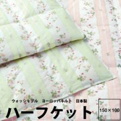 n[tPbg  H   EFbWEbh 150~100cm 0.1kg ww7620  킢 sN O[ ChXgx[ WEDGWOOD  23ss 