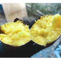 �̂Ȃ���̏Ă����u�_�Ƃ̂���v�@�RKg