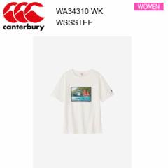 y[ցz24ss J^x[ EBYV[gX[ueB[ fB[X  WA34310  J[ WK canterbury Ki