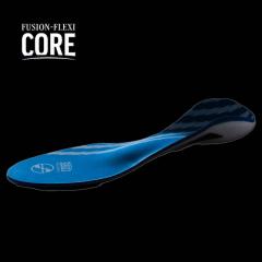 FUSION �t���[�W����  FUSION-FLEXICORE  �C���\�[��  ���K�i