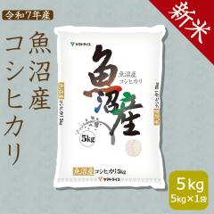 yVāz  Y RVqJ 5kg   ߘa7NY kCE͑900~ 