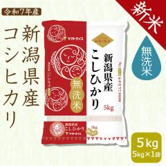 yVāzVY RVqJ  5kg   ߘa7NY kCE͑900~ 