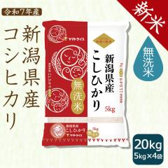 yVāzVY RVqJ  20kg  (5kg~4)    ߘa7NY kCE͑900~ 