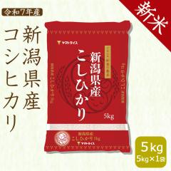 yVāzVY RVqJ 5kg    ߘa7NY kCE͑900~ 