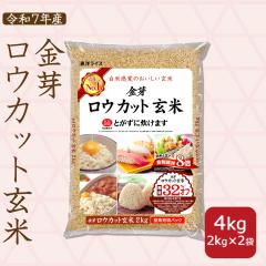 ���E�J�b�g���� 2kg�~2�� �ߘa7�N�Y �k�C���E����͑���900�~