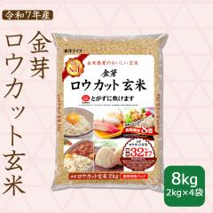 ���E�J�b�g���� 2kg�~4�� �ߘa7�N�Y �k�C���E����͑���900�~ 