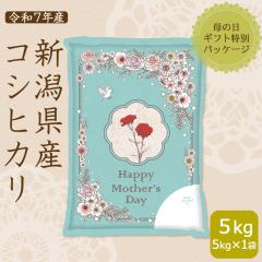 �y��̓��f�U�C���z�V�����Y �R�V�q�J�� 5kg �� ���� ���� �ߘa7�N�Y �k�C���E����͑���900�~ �M�t�g ���蕨 ��5/7�ȍ~����������