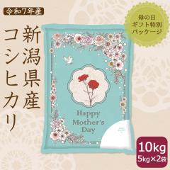 �y��̓��f�U�C���z�V�����Y �R�V�q�J�� 10kg (5kg�~2��) �� ���� ���� �ߘa7�N�Y �k�C���E����͑���900�~ �M�t�g ���蕨 ��5/7�ȍ~����