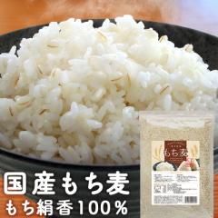 もち麦 国産 栃木県産 もち絹香 800g 送料無料