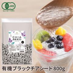 �L�@ �`�A�V�[�h �u���b�N 800g ��������