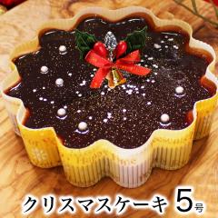 クリスマスケーキ 予約 送料無料 星空のショコラ 5号 4人 5人 6人 チョコ ケーキ お菓子 スイーツ 洋菓子 お取り寄せ