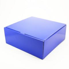 �M�t�g���b�s���O �I���W�i�����g�p ���l���i��j