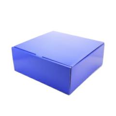 �M�t�g���b�s���O �I���W�i�����g�p ���l���i���j