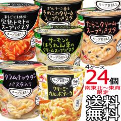 送料無料 南東北〜東海限定】選べる24個セット クノール スープDELI 6