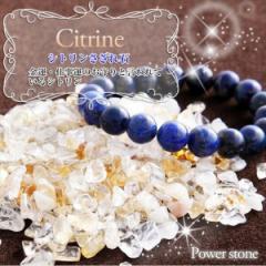 ���[���֑������� �V�g���� �򉻗p������� �w�V�R�� �p���[�X�g�[�� �u���X���b�g   (�A�N�Z�T���[ �T�U�� ����� �p���[ 2026