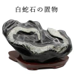 �� �u�� ���֐� ���{�Y �� �w�r �ւ� ���x ���N �J�^�O�b�Y �ւ̒u�� ���� �����O�b�Y ���^�A�b�v ����� ��� �J�^�A�C�e�� 2026