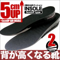 V[NbgC\[ 5cmAbv 2iK߉\ TCY\ insole5cm