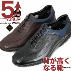 �V�[�N���b�g�X�j�[�J�[ 5cmUP �{�v �}�h���X�� mw7700 madras