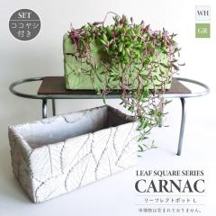 �� �v�����^�[ ���[�t���N�g�|�b�g L �R�R���V�t���Z�b�g �Z�����g�� ��M�Ȃ� �ꌊ�L �z���C�g �O���[�� �����` ���N�^���O�� �A�ؔ� �K