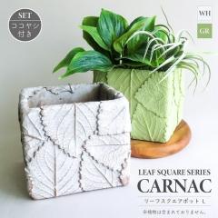 �� �v�����^�[ ���[�t�X�N�G�A�|�b�g L �R�R���V�t���Z�b�g �Z�����g�� ��M�Ȃ� �ꌊ�L �z���C�g �O���[�� �l�p �����` �A�ؔ� �K�[�f�j