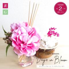 �A���} ���[�h�f�B�t���[�U�[ �f�C�Y�C���u���[�� BF �X�e�B�b�N 100ml �F�����Ԗ�2���� �F���� ���� �a���� ��̓� �M�t�g ���蕨 �C��