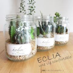 �ϗt�A�� ���� �G�N���A �K���X�r CT�G�}���H ���L �T�{�e�� �C���e���A