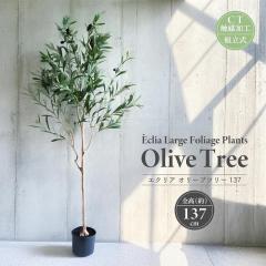 �l�H�ϗt�A�� �G�N���A �I���[�u�c���[ �S��137cm ��^ CT�G�}���H�L �g���� ���F�� ���L �R�� �h�� ���� �t�F�C�N�O���[�� �C���e���A�O