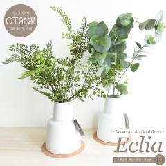 �ϗt�A�� ���� �G�N���A �O���[�i���[���C�t L�T�C�Y �R���N�R�[�X�^�[�t�� CT�G�}���H  �t�F�C�N�O���[�� �����A�� ���L �R�� �h�� ����