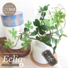 �ϗt�A�� ���� �G�N���A �O���[�i���[���C�t S�T�C�Y �R���N�R�[�X�^�[�t�� CT�G�}���H �t�F�C�N�O���[�� �����A�� ���L �R�� �h�� ����