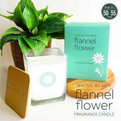 �A���}�L�����h�� �}�C���r�[�` �t�����l���t�����[ �t���O�����X �L�����h�� �R�Ď��Ԗ�50�`55���� �\�C���b�N�X �x�W�^�u�����b�N�X �I