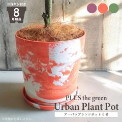 �� ��^ �v�����^�[ PLUS the green �A�[�o���v�����c�|�b�g 8�� ��M�t �R�R���V�t�@�C�o�[�t �ꌊ�L �X�g�[���� �X�g�[���p�E�_�[ �E�b