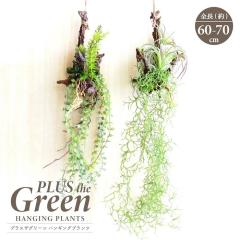 �l�H�ϗt�A�� �A�[�e�B�t�B�V�����O���[�� �n���M���O�v�����c �S��60�`70cm ���R�t�� ���� �݂艺�� �G�A�v�����c �t�F�C�N�O���[�� �C