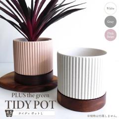 �� �v�����^�[ �^�C�f�B�|�b�g L �Z���~�b�N �ؐ��󂯎M �A�J�V�A �N���A���b�J�[�d�グ �ꌊ���� 4.5������ �V�����_�[�^ �X�g���[�g �C