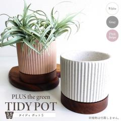 �� �v�����^�[ �^�C�f�B�|�b�g S �Z���~�b�N �ؐ��󂯎M �A�J�V�A �N���A���b�J�[�d�グ �ꌊ���� 3.5������ �V�����_�[�^ �X�g���[�g �C