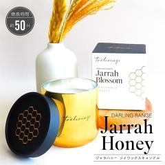 �A���}�L�����h�� �g�������B���O�X �W�����n�j�[ �\�C���b�N�X�L�����h�� �n�`�~�c �x�W�^�u�����b�N�X �l�C�e�B�u�f�U�[�g�t���[�c���o