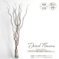 �h���C�t�����[ �_���� �����イ�� N��t�� 5�{�~2�Z�b�g �v10�{���� �����F �}�� �}���� �i�`������ �V�R�f�� ���R�f�� �h���C�f�� �C