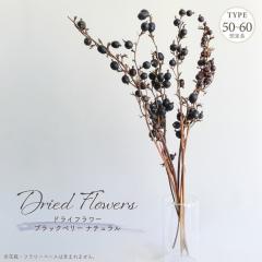 �h���C�t�����[ �u���b�N�x���[ �i�`������ 5�{���� �S����50-60cm �V�R�f�� �����F �x���[ ���� �t�� �}�� ��n�_�� �u���b�N �p�[�v�� 