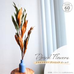 �h���C�t�����[ �O���r���A �S�[���h �S����60cm �V�R�f�� �i�`������ �u���E�� �O���[�� ���[�t �t �A�����W �f�B�X�v���C �C���e���A